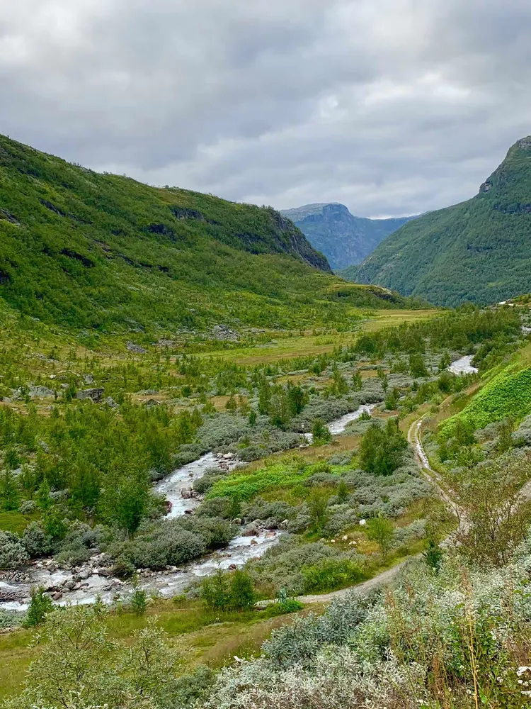 关于丹麦队击败芬兰，晋级之路依然光明的信息