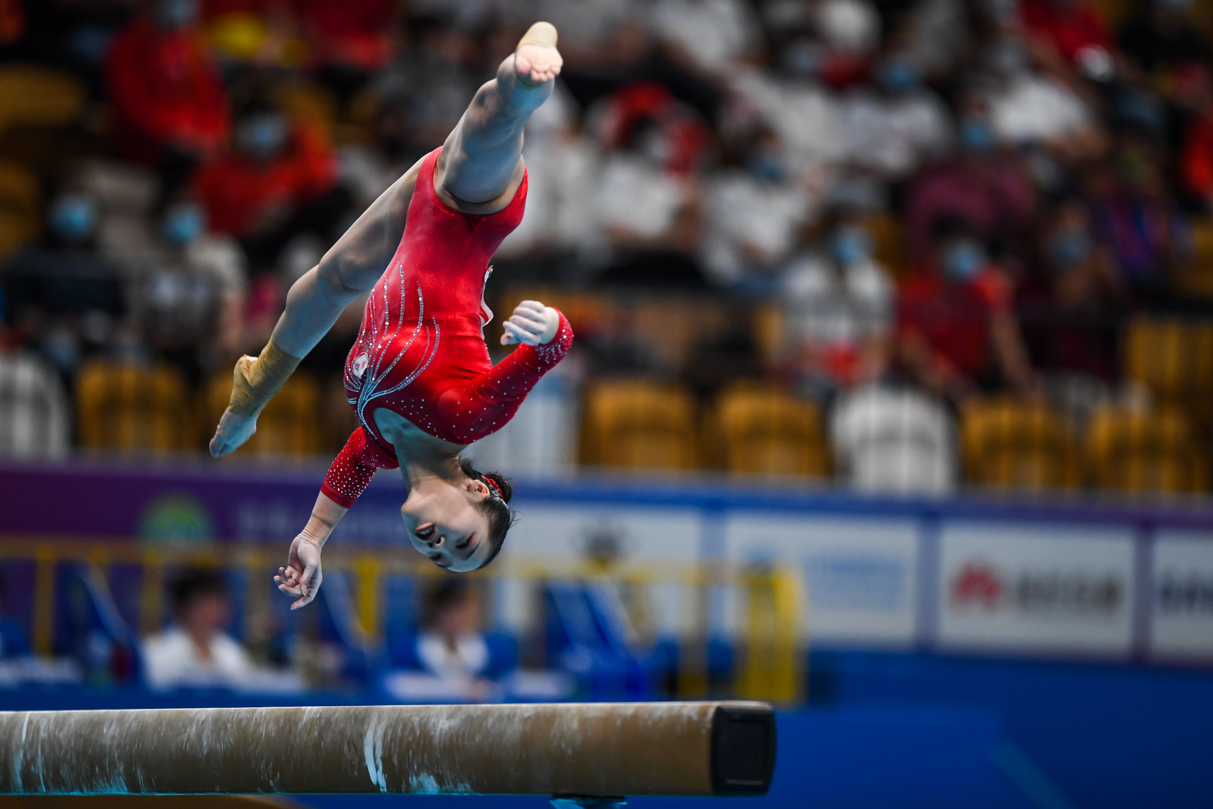 包含小球运动员精彩绝伦，技艺展现高超水平的词条